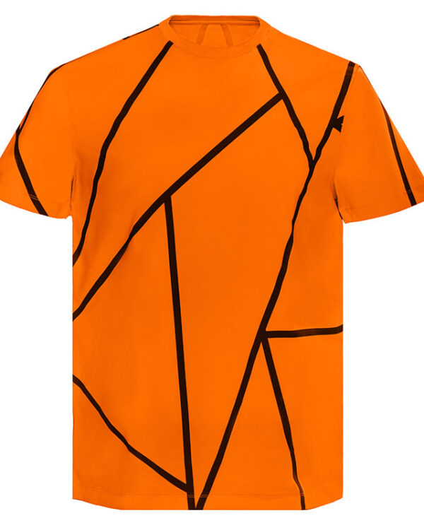 Orange Stripe T-Shirt Image