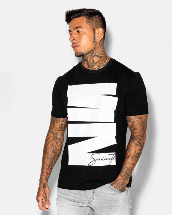 sainte falling bar image