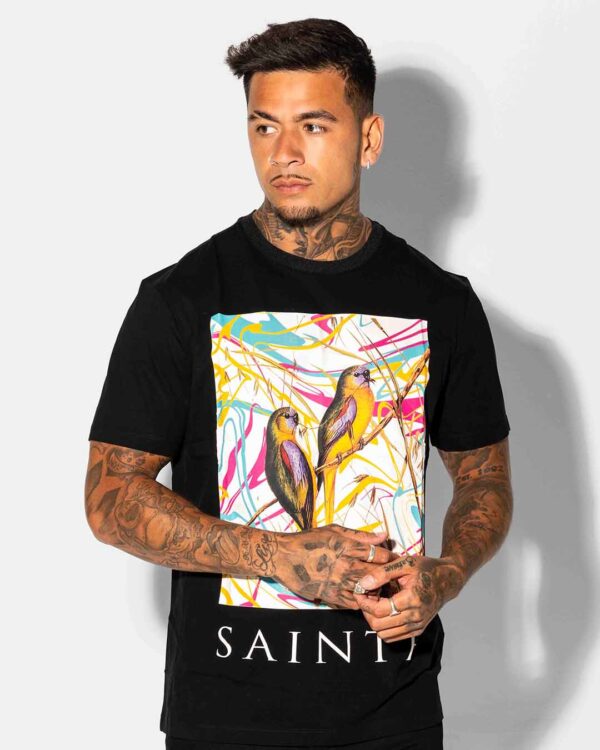 sainte nature in color tshirt image
