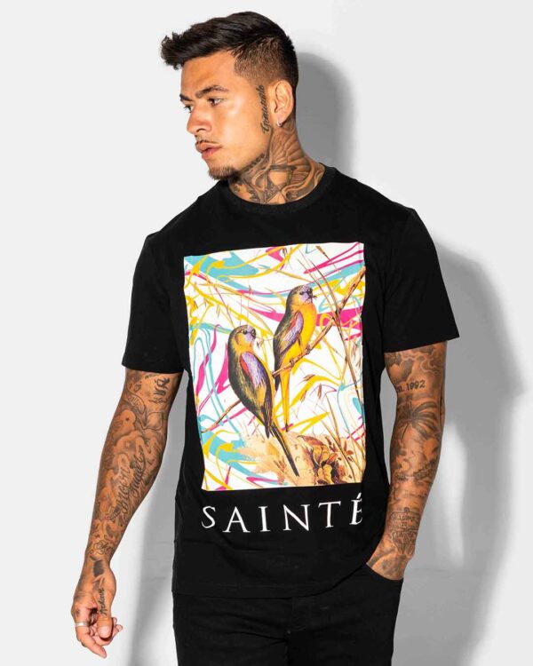 sainte nature in color tshirt image